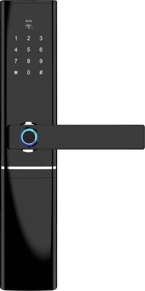 Cheap Smart Fingerprint Enabled Keyless Magnetic Door Lock With CE FCC ROHS Certifictation for sale