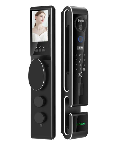 Cheap Luxury S666 3D Face Recogniton Door Lock With Intercom Automatic Security Door Lock for sale