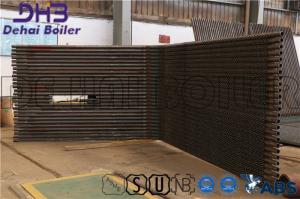 Radiation Heat Surface Boiler Wall Unit Prevent Coking Arranged Convection Tubes