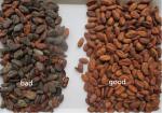 Red Kidney Green Beans Color Sorting Machine Automatic Computing