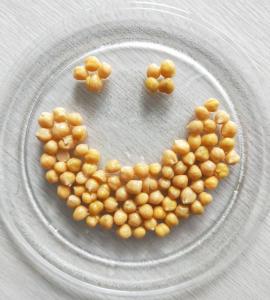 Best Cheap Price Canned Chickpeas Wholesale Preserved Chick Peas 400g wholesale