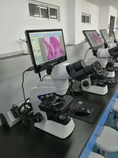 Cheap 11.6" Windows10 Operation SystemTouchscreen Tablet Microscope Camera NC-WT1160 for sale