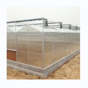 Best Super Strong Resistance Polycarbonate Greenhouse Full Set for Commercial Agriculture wholesale