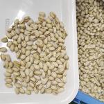 16 Channels High Speed Intelligent Pistachio Sorting Grading Machine Computer