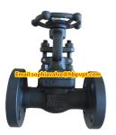 ANSI A105N forged gate valve