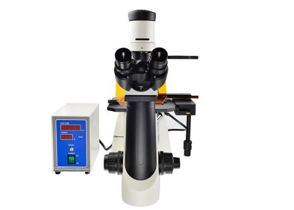 Cheap Phase Contrast UOP Inverted Fluorescence Microscope With B G Filter for sale