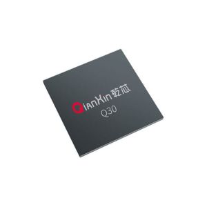 Q30 FPGA Core Iris Chip – Single-Chip Solution for Iris Recognition and Matching with Strong Encoding & Matching Capability