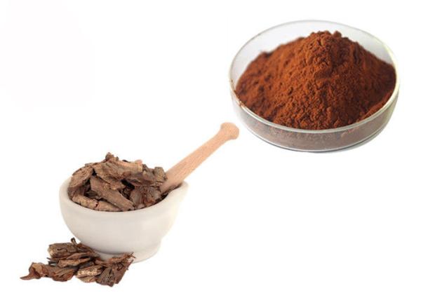 Cheap Proanthocyanidins 95% Pine Bark Extract Powder for sale