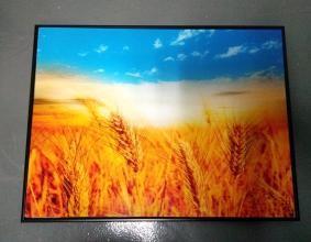 Cheap DIY Large Acrylic Picture Frames , Acrylic Picture Frames Wall Mount Environmental Friendly for sale