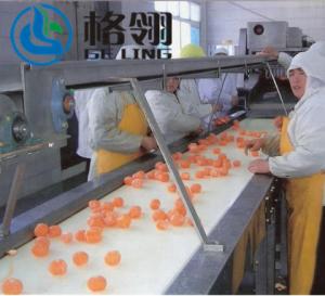 Automatic Control Orange Juice Complete Processing Line  Big Capacity