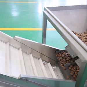 Best 380V 8 Exits Pecan Nuts Sorting Machine CE Approved 2 Tons Capacity wholesale
