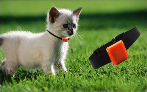 China Best selling waterproof mini hidden gps tracker for pets cats dogs birds with sim card 2g 3g gps tracker pet tracker gps on sale