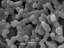 High Whiteness 99.7% Aluminum Oxide Ceramics 1-2um Calcined Aluminas 0