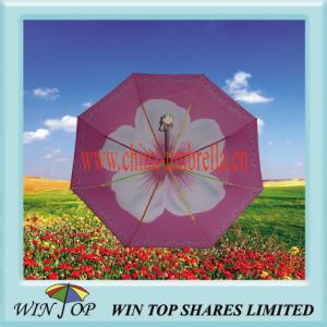 China 21 Colorful Full Auto Open Umbrella with Rainbow Frame on sale