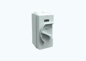 Weatherproof 63A Electric Circuit Breakers , Swing Handle AC Breaker Switch