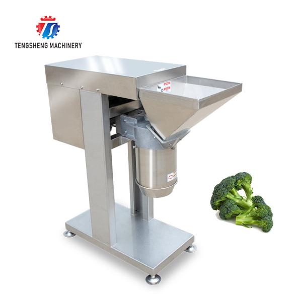 Cheap 80KG Large stainless steel crusher large ginger garlic machine multi-functional vertical food shredder for sale