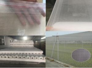 China Black White Anti Mosquito Screen Net UV Treated Crop Protect Net 40mesh on sale