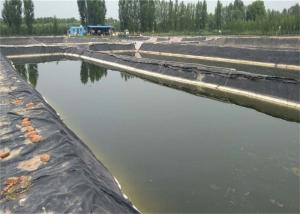 Best Hdpe Swimming Pool Polyethylene Geomembrane Flexible Small Pond Liner wholesale