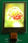 Customize OEM 1.66" Bendable 262K 24 Pin PM OLED Screen Display Module