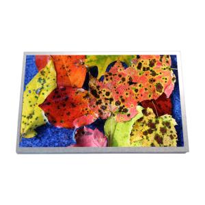 10.1 inch HSD100IFW1-A02 netbook LCD LED Screen Display Panel