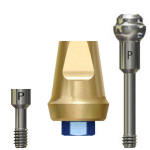 Precision Impression Transfer Coping Implant