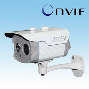 H.264 Waterproof Megapixel IP Camera with a LED Array 20m IR Range for Outdoor Use