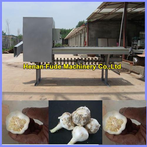 Cheap Garlic root cutting machine , dehydrated garlic chips processing machine for sale