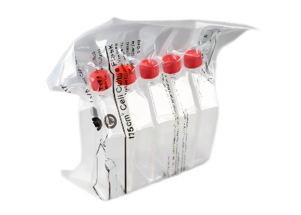 Cheap CE And ISO Certification Laboratory Plastic Cell Tissue Culture Flask for sale