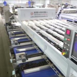 Best Optimize Your Output with Our High Capacity, AI Powered Chestnut Sorting Machine, Featuring 8 Lanes + 8 Outlets and Made from Durable 304 Stainless wholesale