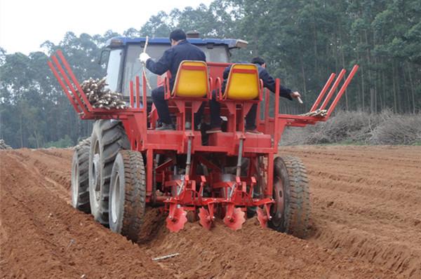 Cheap Ridging Type 0.8ha/h 2 Rows Cassava Planter Machine Chop Length 19cm for sale