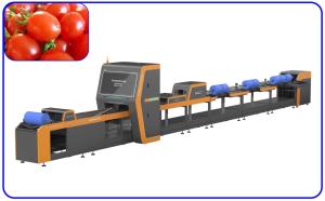 Best Size Breakage Automatic Sorting Machine High Speed 2 Channel For Cherry Tomato wholesale