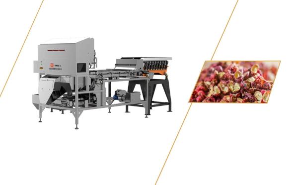 Cheap High Speed High Yield Pepper Crawler Sorting Robot 0.5 - 1T/H for sale