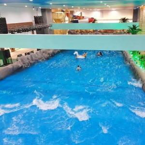 Best Colourful Water Park Swim Wave Pool Machine Indoor Wave Pool Customized wholesale