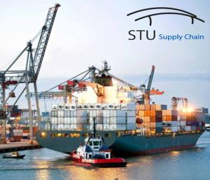 Best LCL FCL Sea Shipment Freight Forwarder Shenzhen to USA Canada Japan Philippines Malaysia wholesale