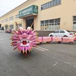 Simulation Chinese Walking Dragon Ride on Customized Size / Color
