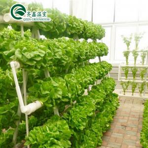 Best Tomatoes Vertical Hydroponic System for Multi-Span Greenhouse Sales in Netherlands wholesale