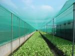 HDPE Monofilament Inst Mesh Netting 20 30 40 50 Mesh Count Anti Insect Proofing
