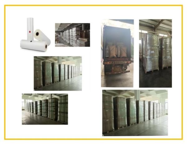 Cheap Matt Hot BOPP + EVA Thermal Lamination Film Multiple Extrusion for sale