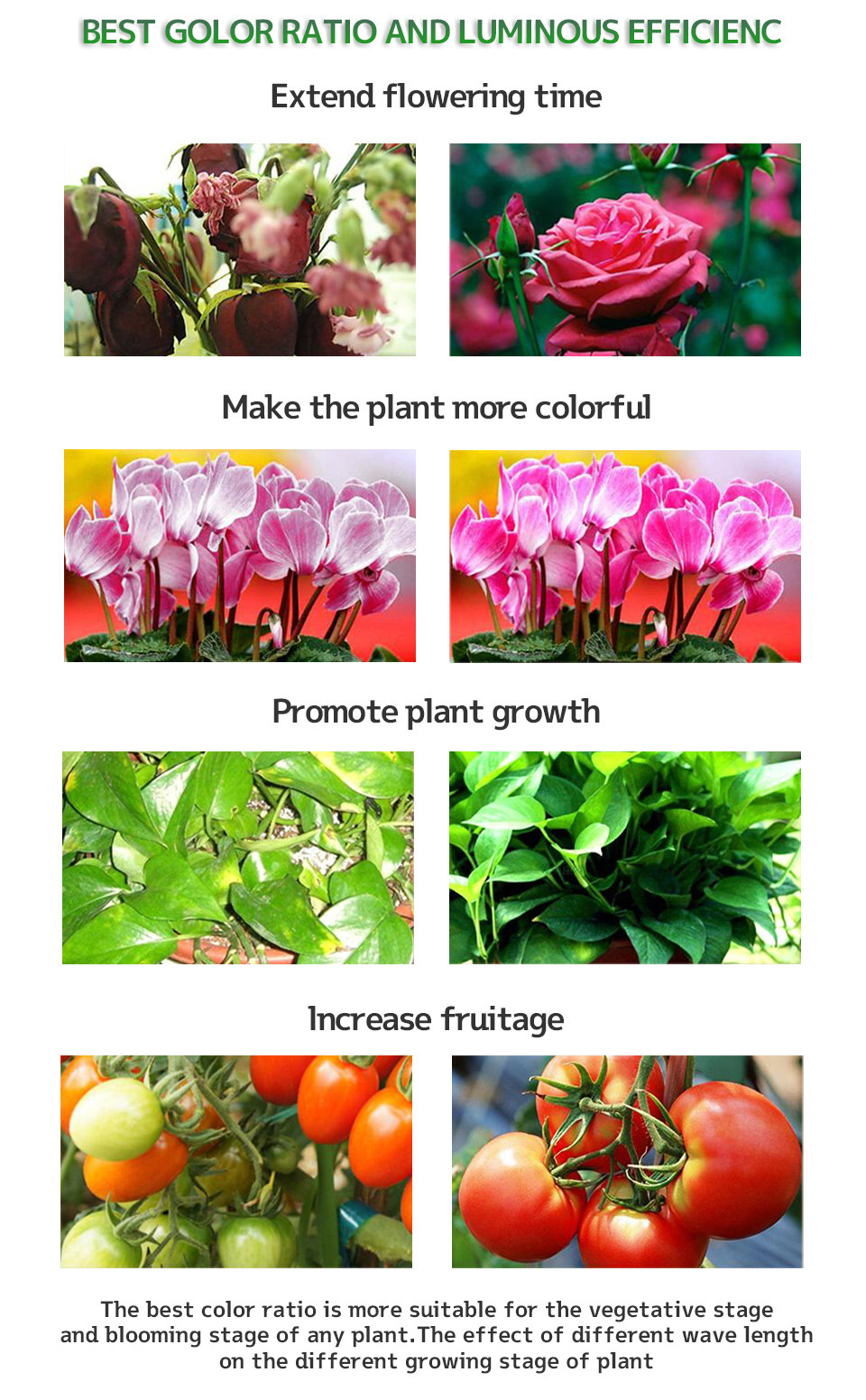 5000K LED Quantum Board 150w Grow Light 660nm For Plants Flowers