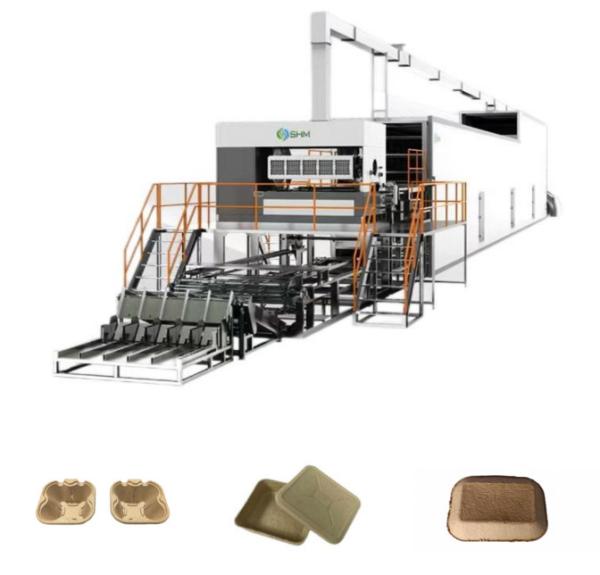 Cheap Paper Pulp Fruit Tray Plates Making Machine Large Scale Fully Automatic for sale
