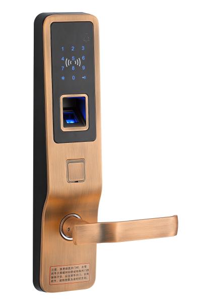Cheap Standalone Fingerprint Access Control Door Lock For Residential Apartment for sale