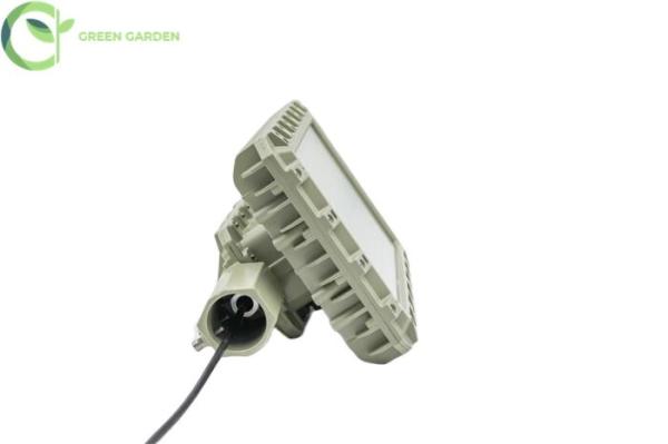 Cheap Hazardous Area Led Flood Lights Explosion Proof Lamp 20000 Lumens 6500k for sale