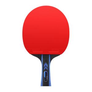 Double Reverse Rubber Rackets for Table Tennis Control Well For Allround Player