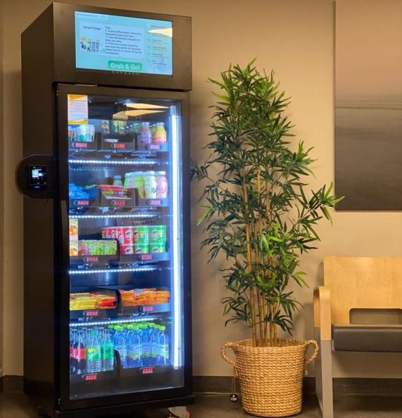 Cheap Smart Fridge Vending Machine For Frozen Products Ice Cream Ice Cubes Adjustable Temperature Range Remote Operation for sale
