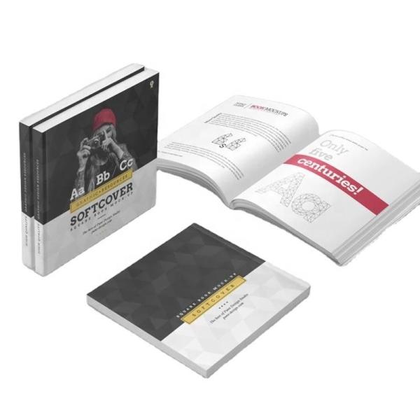 Cheap PP lamination Picture Book Printing Paperboard Custom Journal Printing for sale