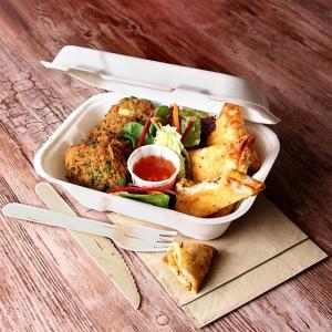 China 600ml 1000ml Dinnerware Compostable Party Tableware Bagasse Pulp Lunch Bento Box on sale