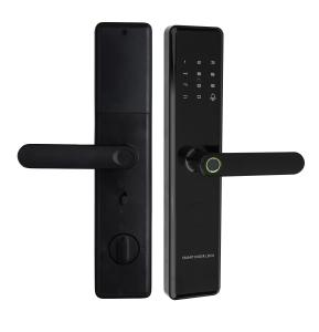Zinc Alloy IML Intelligent Door Lock Tuya Smart Lock Wifi Bluetooth