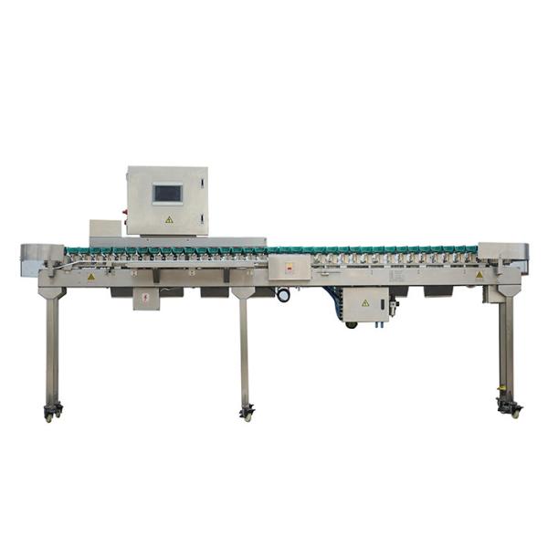 Cheap SS304 Weight Sorting Machine for sale