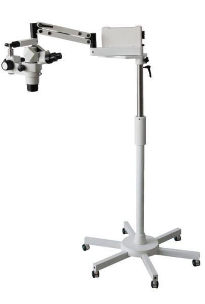 Cheap Variable Dental Operating Microscope With 55mm-80mm PD Adjustable Range for sale