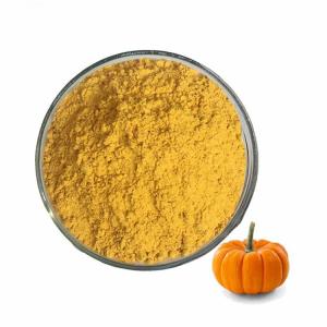 Best Healthy Foods Dehydrated Dried Pumpkin Powder With ISO Certification wholesale